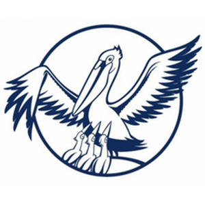 Педагогический работник года