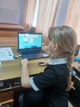 Онлайн олимпиада по БДД