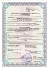 Лицензия на дополнительное образование. Золотой петушок
