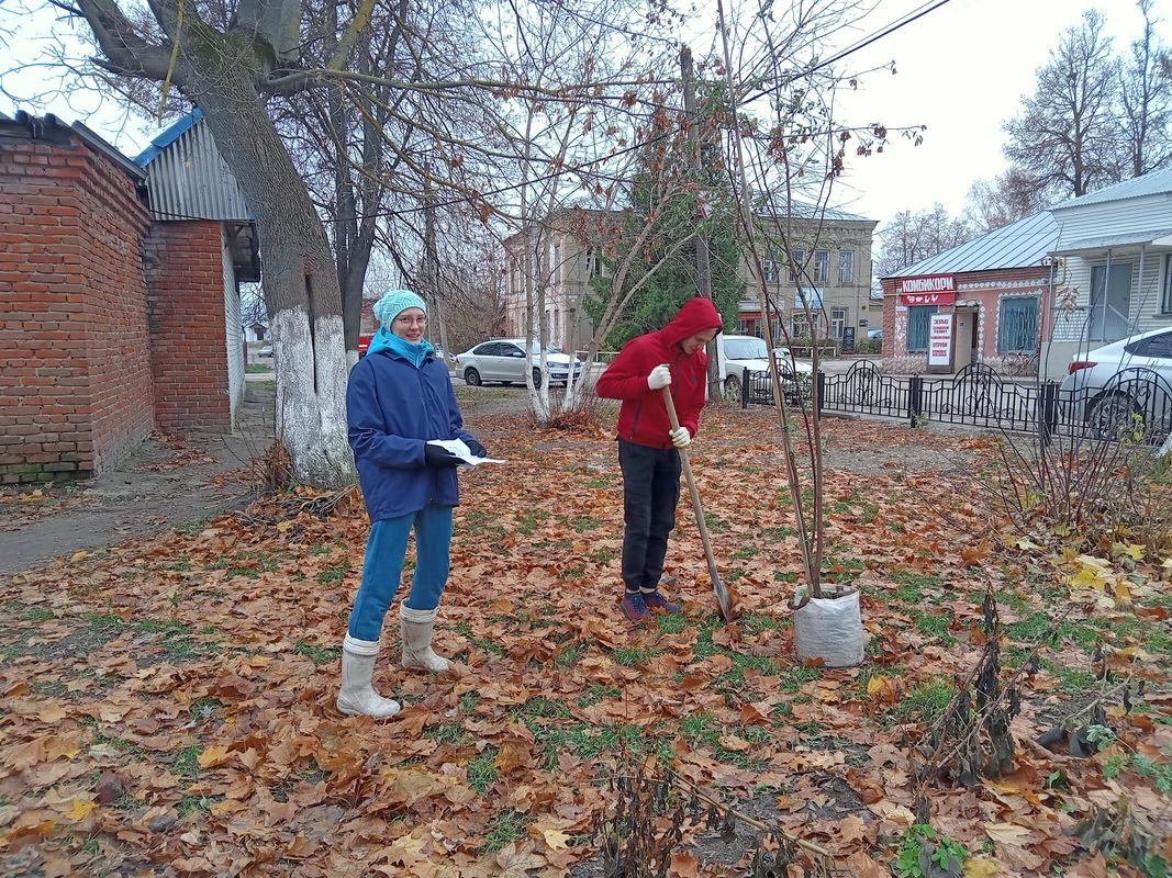 ОГБПОУ «СКТТ». 2 ноября студенты – волонтёры ОГБПОУ «СКТТ» Меркушов  Александр, Львицын Никита и Кирякин Дмитрий приняли участие в озеленении  сквера на улице Есенина в г. Спас-Клепики