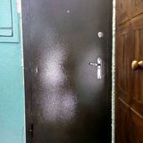Полимерная дверь с МДФ накладкой