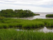 Река Галяная. Автор Макасеева Татьяна Владимировна.