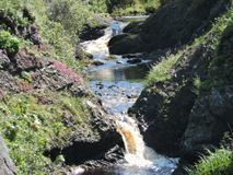 р.Сигнальная Автор Душина О.