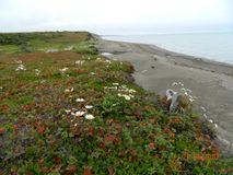 берег залива Терпения