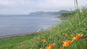 Охотский участок бухта Котиковая Автор Пирогов Н.