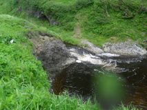 р.Учир Автор Ольхова М.А.