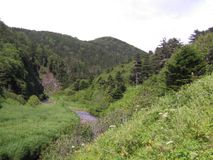 Река Учир, нижнее течение. Автор Душин Андрей Александрович.