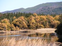 Река Котиковая, нижнее течение. Автор  Макасеева Татьяна Владимировна.