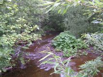 Река Каменушка, среднее течение. Автор Душин Андрей Александрович.