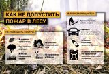 Как не допустить пожар в лесу