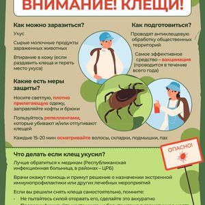 Сезон клещей уже начался