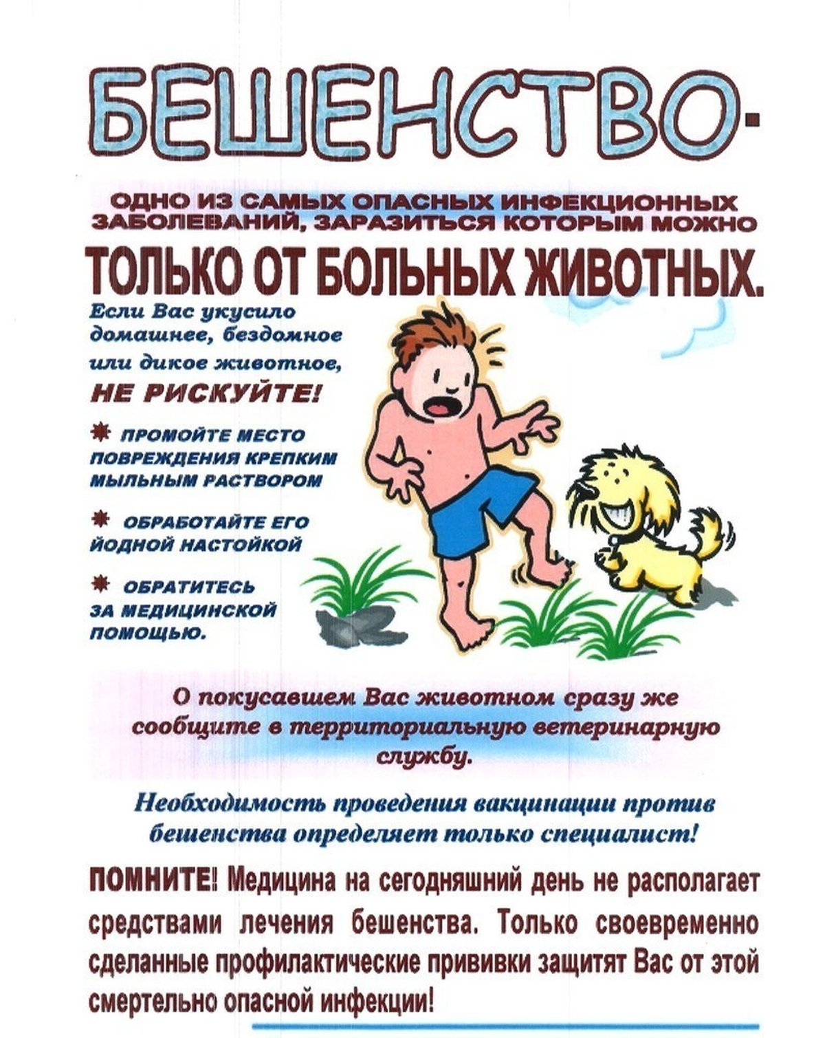 Осторожно бешенство картинки