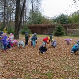 Сбор осенних листьев, средняя группа А