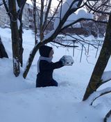 Даниил заботится о птицах. средняя группа