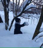 Даниил заботится о птицах. средняя группа