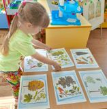 Игра Найди березку, младшая группа