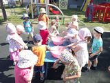 Игра с водой. младшая группа
