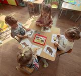 дидактическая игра чья шкура.средняя группа