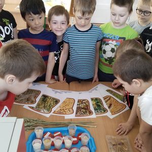 Проект "Эко-техно"!