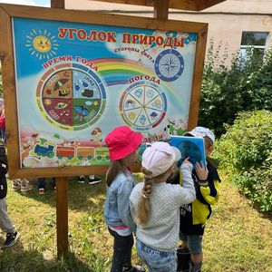  Уголок природы в нашем детском саду 