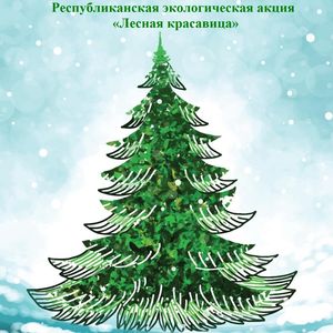 Участие в акции "Лесная красавица"