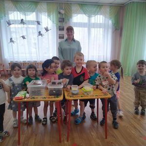Занятие в детском саду "Необычные домашние питомцы"