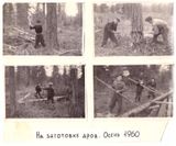 На заготовке дров, осень 1960
