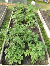 Июнь -июль 2023