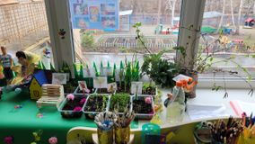 Старшая группа № 7