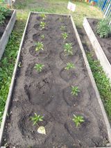 Июнь -июль 2023