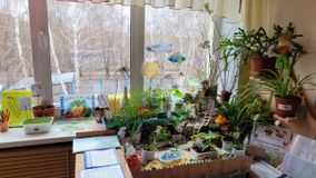 Вторая младшая группа № 5