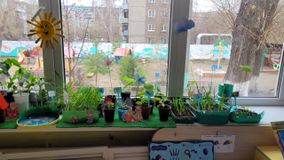 Вторая младшая группа № 10