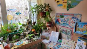 Вторая младшая группа № 5