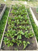 Июнь -июль 2023