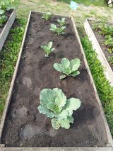 Июнь -июль 2023