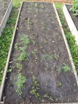 Июнь -июль 2023