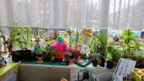 Старшая группа № 11