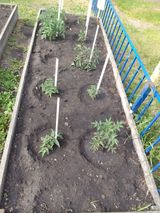 Июнь -июль 2023