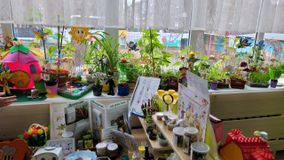 Старшая группа № 11