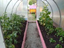 Июнь -июль 2023