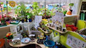 Старшая группа № 11