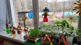 Вторая младшая группа № 10