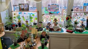 Старшая группа № 12