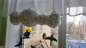 Старшая группа № 7