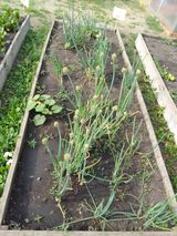 Июнь -июль 2023