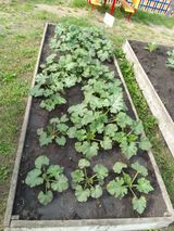 Июнь -июль 2023