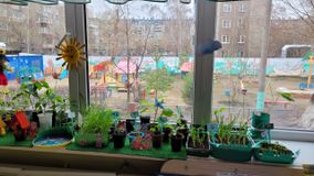 Вторая младшая группа № 10