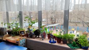 Подготовительная к школе группа № 8