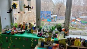 Старшая группа № 7