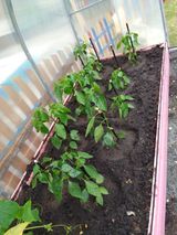 Июнь -июль 2023